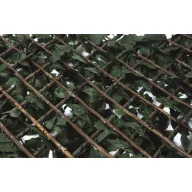   Retractable willow tree with plastic leaves TRELLIWILLOW HEDRA green-brown 1 x 2 m