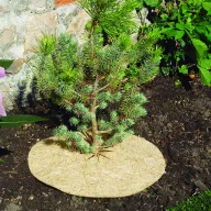   Talajtakaró 100% természetes Chanvrelin 500 natur 30 cm átmérő
