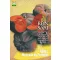 Pumpkin organic Muscade de Provence Pure Seed approx. 8 seeds