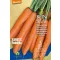 Carrot organic Rodelika Rein Saat approx. 50 seeds