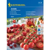 Paradicsom Cherry Arielle F1 Kiepenkerl kb. 6 db mag