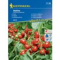 Salátaparadicsom Matina Kiepenkerl kb. 35 db mag