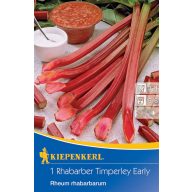 Rebarbara Timperley Early Kiepenkerl 1 db tő
