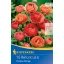 Virághagyma Boglárka Picotee Orange Kiepenkerl 10 db