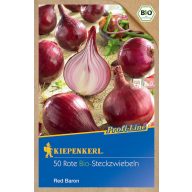 Dughagyma organic Lilahagyma Red Baron Kiepenkerl 50 pcs