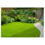 Fűmag Zöldike általános fűmagkeverék Agro-Largo 1 kg