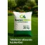 Master Green High N fertiliser (25-5-10+2MgO+TE) 20 kg