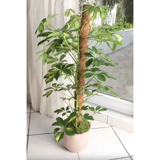 Kókusztámasz COCO Ø 45 mm 120 cm
