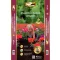 Potting soil Nutmeg and Balcony soil Dolce Vital 40 l