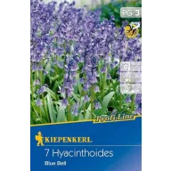 Flower bulbs Blue Bell Blue Bell 7 pcs Kiepenkerl