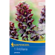 Virághagyma Perzsa kockásliliom Kiepenkerl 1 db