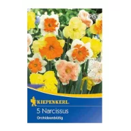   Virághagyma Nárcisz orchideavirágú keverék Kiepenkerl 5 db