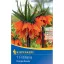 Virághagyma Fritillaria (császárkorona) Orange beauty Kiepenkerl 1 db