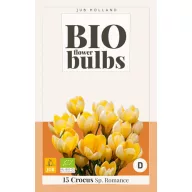 Virághagyma BIO Krókusz Romance 15 db JUB