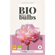 Virághagyma BIO Tulipán Dreamer 5 db JUB