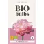 Virághagyma BIO Tulipán Dreamer 5 db JUB
