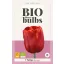 Virághagyma BIO Tulipán Escape 7 db JUB