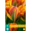 Virághagyma Tulipán Orange Marmelade 7 db JUB