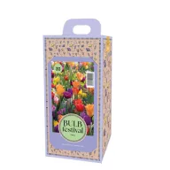 Virághagyma dobozban Tulipán Festival Party 30 db JUB