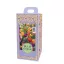 Bulbs in a box Tulip Festival Party 30 pieces JUB