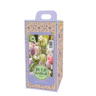 Virághagyma dobozban Tulipán Birthday 30 db JUB