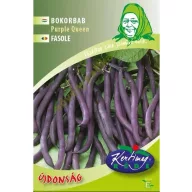 Bokorbab lila hüvelyű Purple Queen 50 g