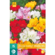 Flower bulbs Fresia Dubbel/Double Mix 15 pieces JUB