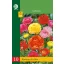 Bulb Buttercup (Ranunculus) Mix 10 pieces JUB