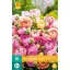 Bulb Buttercup (Ranunculus) Pastel Mix 10 pcs JUB