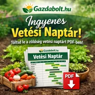 Vetési naptár