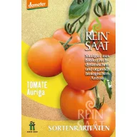Tomato organic Auriga Pure Seed about 30 seeds