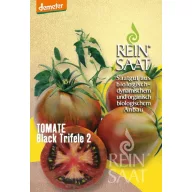 Tomato organic Black Triefele Pure Seed about 30 seeds