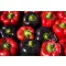Paprika organic Violeta Rein Saat approx 35 seeds