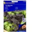 Bazsalikom (Try-Basil-Mix) drazsírozott vetőmag mix Kiepenkerl 20 db mag