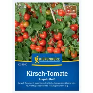 Cseresznyeparadicsom Ampelo Rot F1 Kiepenkerl 12 db mag