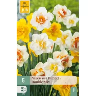 Virághagyma Nárcisz Dubbel/Double Mix 5 db JUB