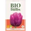 Virághagyma BIO Tulipán Purple Prince 7 db JUB