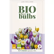 Virághagyma BIO Krókusz (Crocus sp.) Mix 15 db JUB