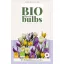 Virághagyma BIO Krókusz (Crocus sp.) Mix 15 db JUB