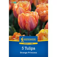 Virághagyma Tulipán Orange Princess 5 db Kiepenkerl