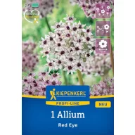 Virághagyma Díszhagyma Red Eye Kiepenkerl 1 db