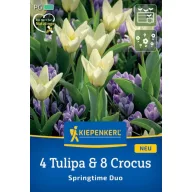   Virághagyma Mix 4 Tulipa & 8 Crocus Springtime Duo Kiepenkerl 12 db