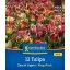 Bulb Tulip Sea of Lights Megapack Kiepenkerl 12 pcs
