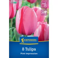 Virághagyma Tulipán Pink Impression Kiepenkerl 8 db