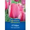 Virághagyma Tulipán Pink Impression Kiepenkerl 8 db
