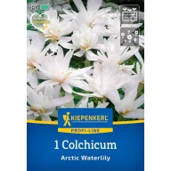   Virághagyma Kikerics (Colhicum) Arctic Waterlily Kiepenkerl 1 db