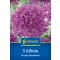 Virághagyma Díszhagyma Purple Sensation Kiepenkerl 5 db