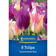 Virághagyma Tulipán Coutryside Duo Kiepenkerl 8 db