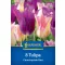 Virághagyma Tulipán Coutryside Duo Kiepenkerl 8 db