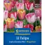 Virághagyma Tulipán Joyful Garden Mix Megapack Kiepenkerl 12 db